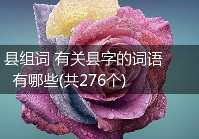 县组词 有关县字的词语有哪些(共276个)