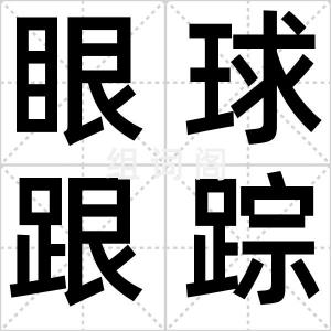 眼球跟踪术