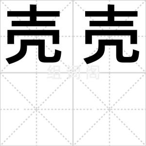 壳壳