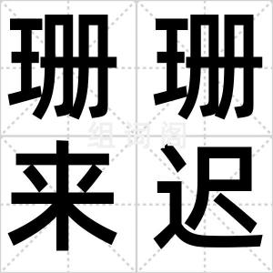 珊珊来迟