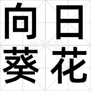 向日葵花语