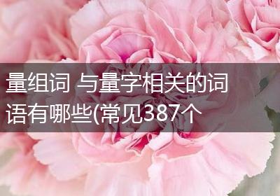 量组词 与量字相关的词语有哪些(常见387个)