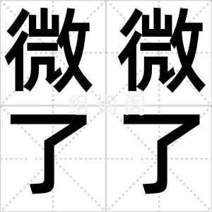微微了了