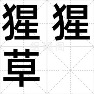 猩猩草