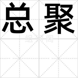 总聚