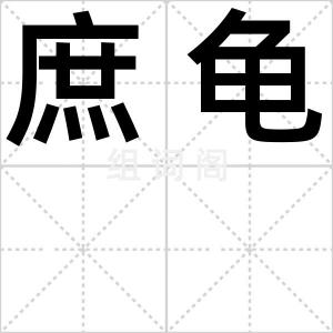 庶龟
