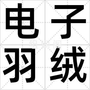 电子羽绒服