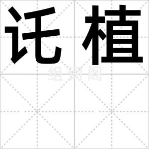 讬植