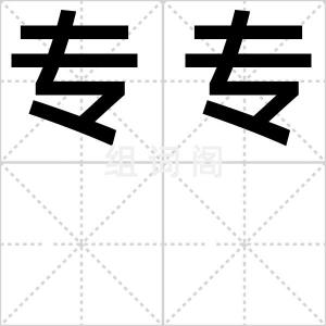 专专
