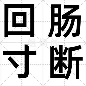 回肠寸断