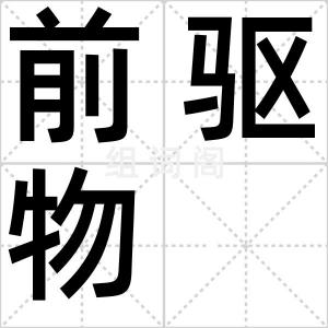 前驱物