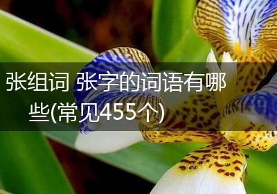 张组词 张字的词语有哪些(常见455个)