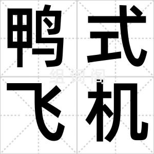 鸭式飞机