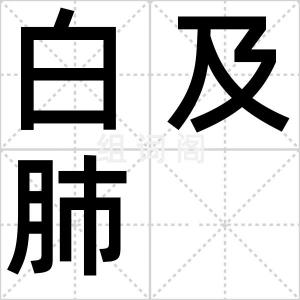 白及肺