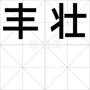 丰壮