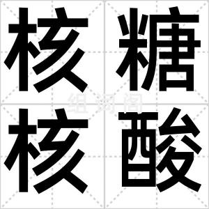 核糖核酸