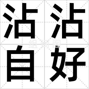 沾沾自好