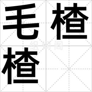 毛楂楂
