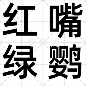 红嘴绿鹦哥