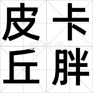 皮卡丘胖橘