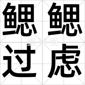 鳃鳃过虑