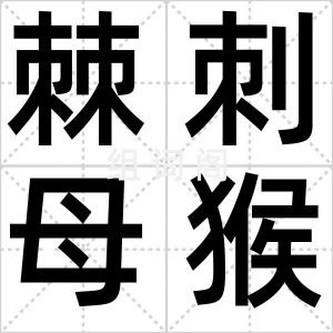 棘刺母猴