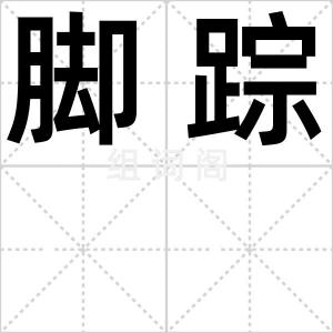 脚踪