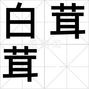 白茸茸