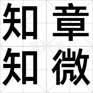 知章知微