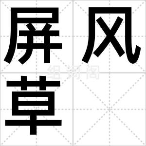 屏风草