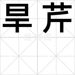 旱芹