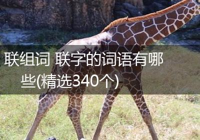 联组词 联字的词语有哪些(精选340个)