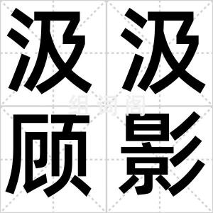 汲汲顾影