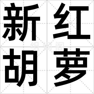 新红胡萝卜