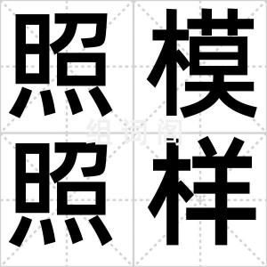 照模照样