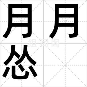 月月怂