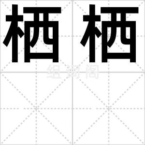 栖栖