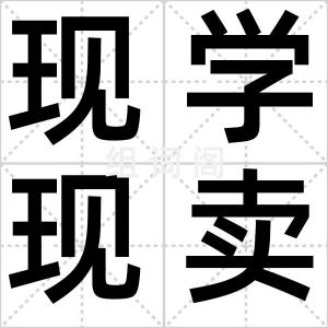 现学现卖