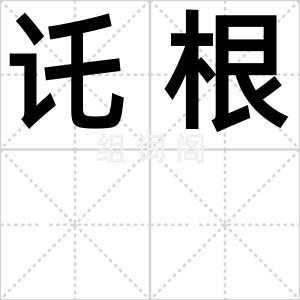 讬根