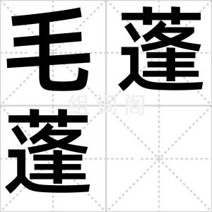 毛蓬蓬