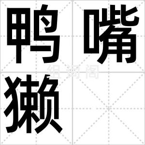 鸭嘴獭