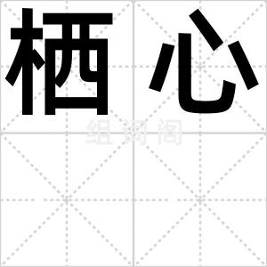 栖心