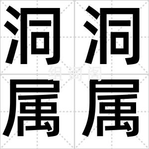 洞洞属属