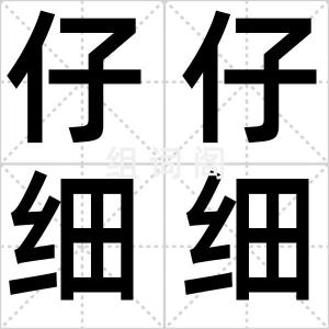 仔仔细细