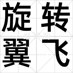 旋转翼飞机