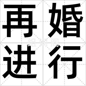 再婚进行时