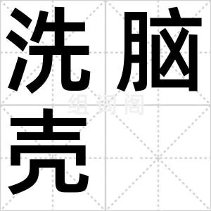 洗脑壳