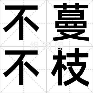 不蔓不枝