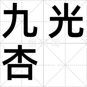 九光杏