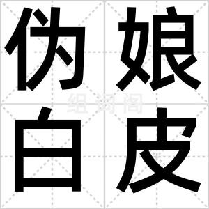 伪娘白皮书